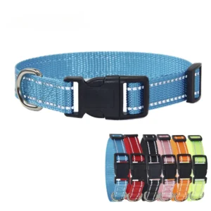 Nylon Dog Collar and Leash Set