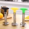 Stainless Steel Pineapple Peeler